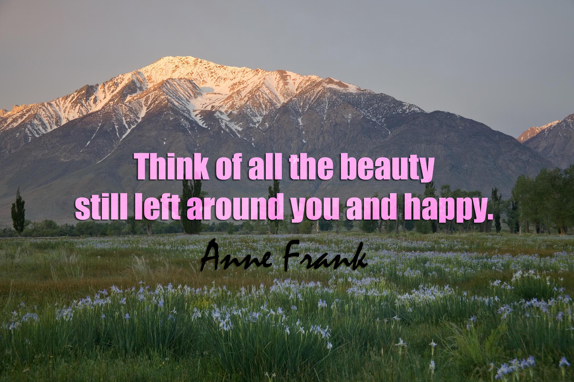 think of all the beauty still left around you and happy