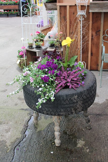 Flower tire planter.
