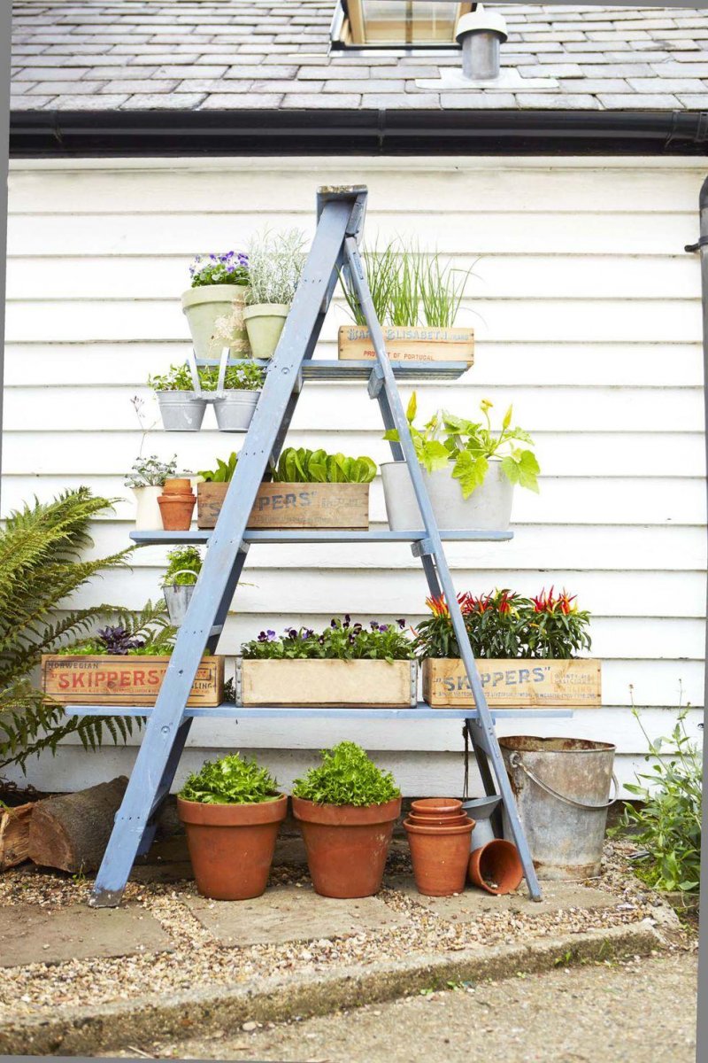 Refurbish A Rusty Ladder Into A Layered Planter.