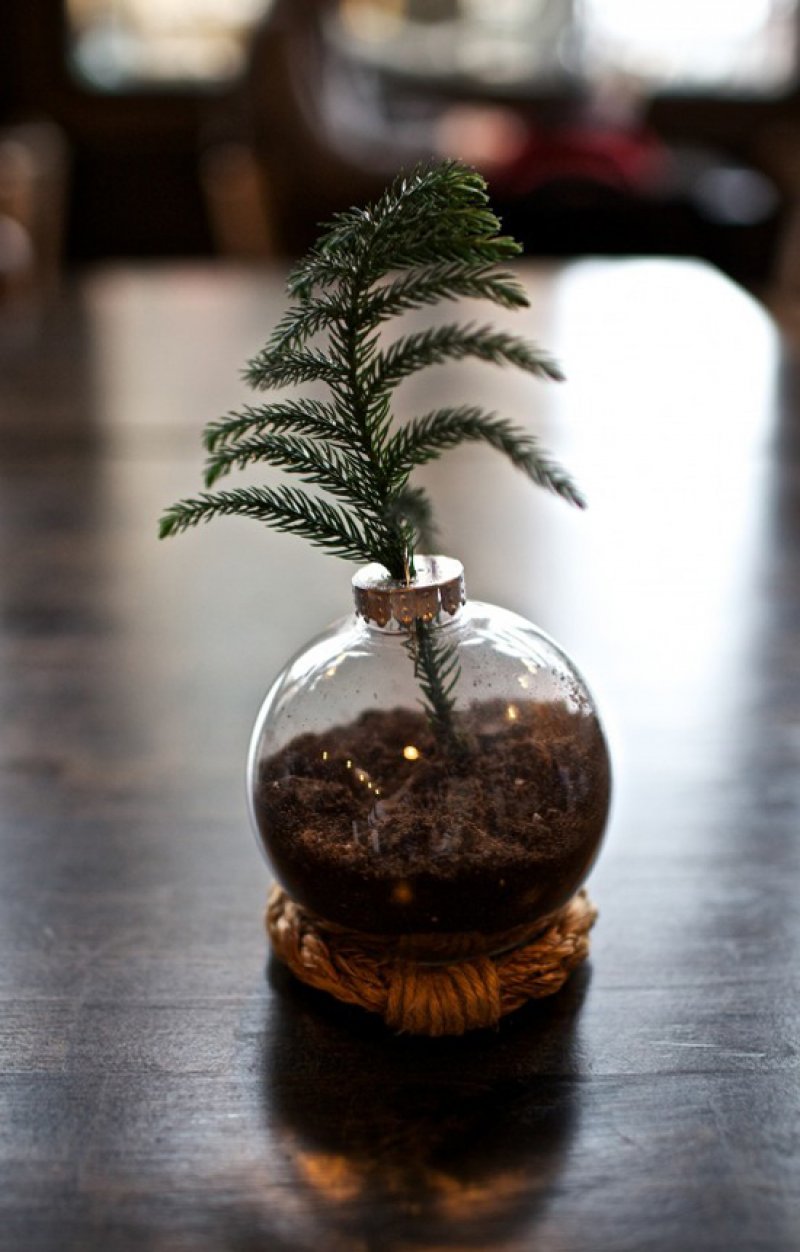 Make a mini Christmas Tree.