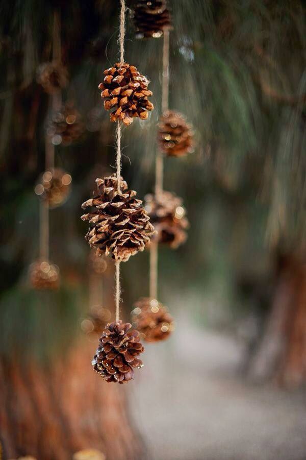 Simple pinecone hanging or Christmas decoration.
