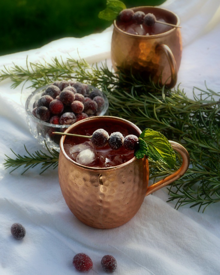 Spiced Cranberry Moscow Mule