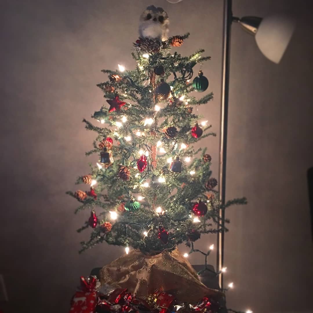 Apartment Christmas tree.