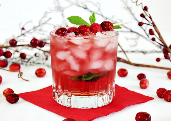 Cranberry Ginger Fizz Cocktail from Southern Mom Loves