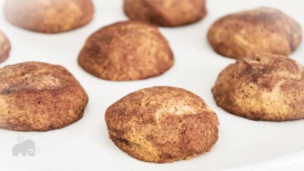 Easy Keto Snickerdoodle Cookie by The Frugal Caveman