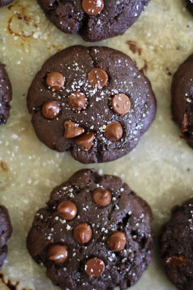Gluten-Free Salted Double Chocolate Buckwheat Cookies from The Roasted Root