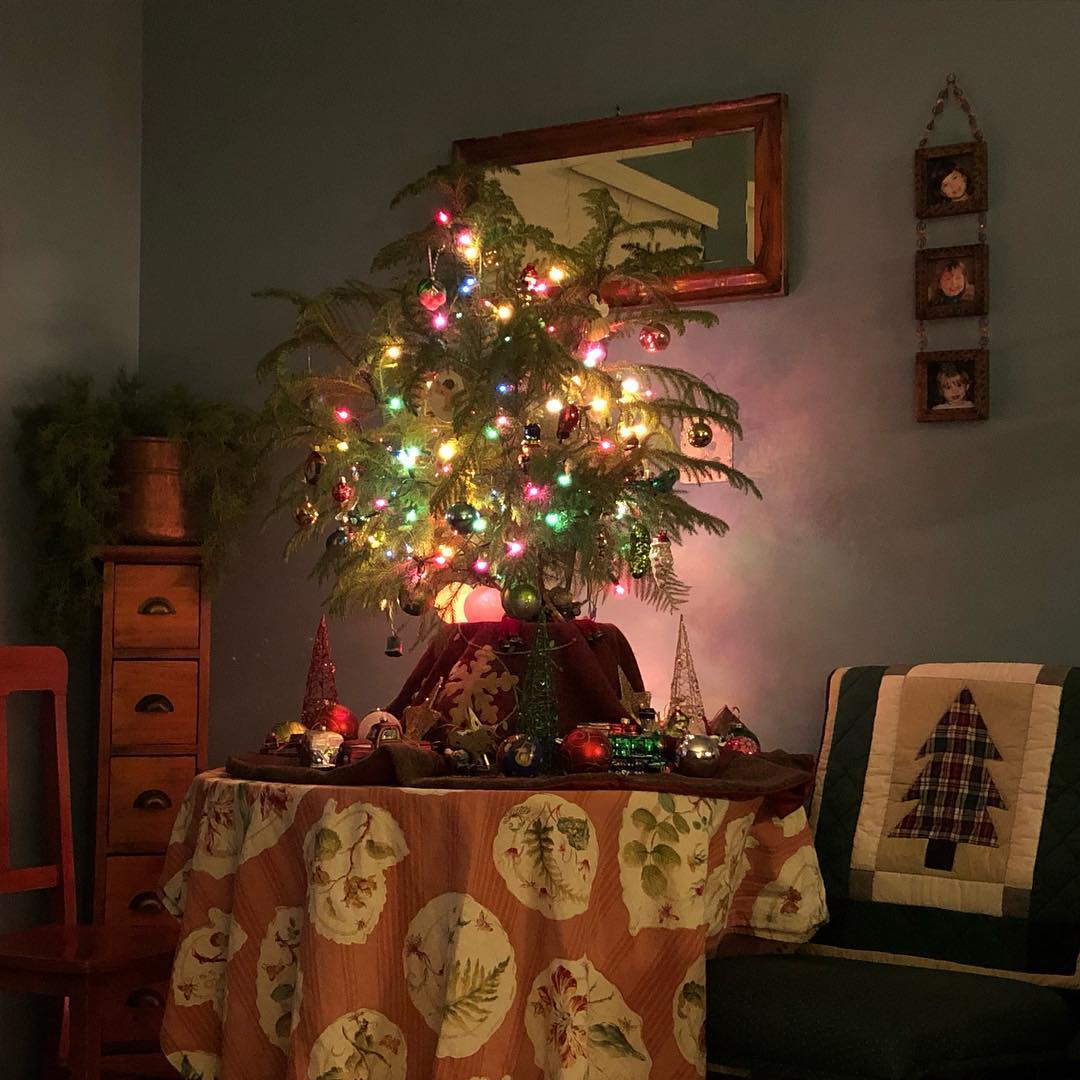 Have yourself a merry little...Tabletop Christmas Tree.