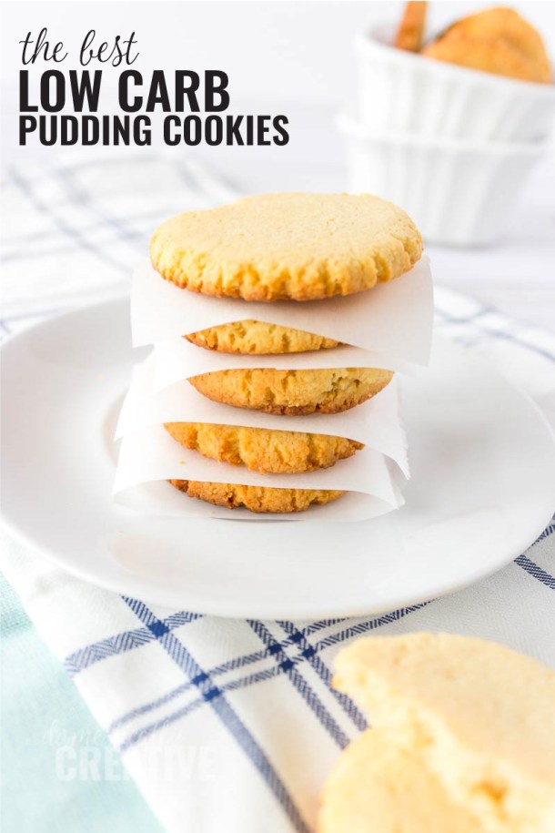 Low Carb Pudding Cookies by Domestically Creative