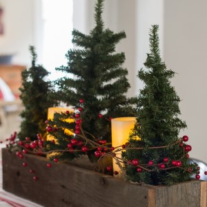 Mini Christmas Tree Rustic Box.
