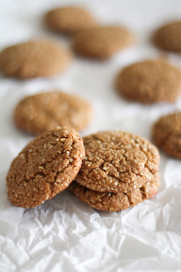 Paleo Gingerbread Cookies from The Roasted Root