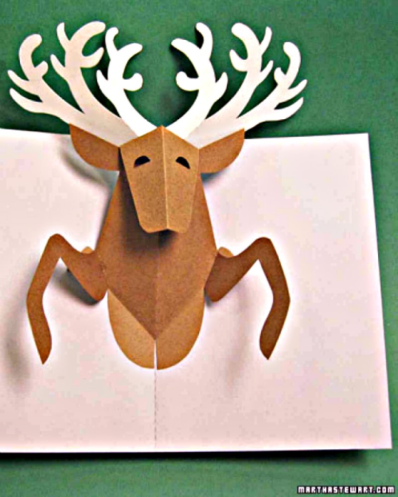 Reindeer Pop-Up Card.