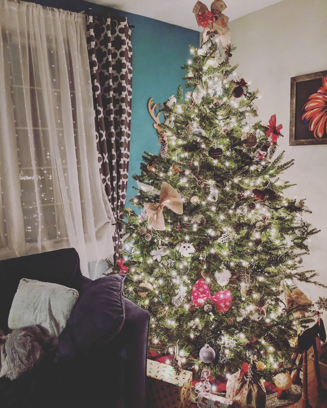 oh Christmas tree.