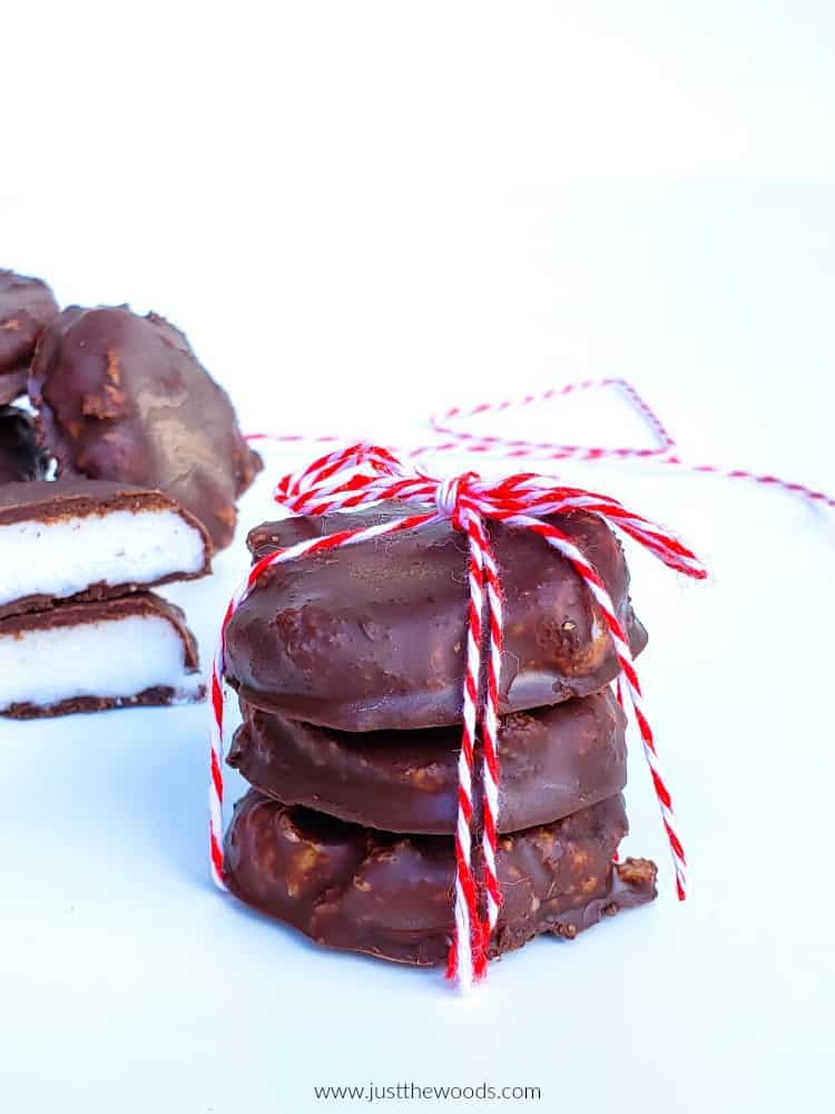 HOMEMADE PEPPERMINT PATTIES BY JUST THE WOODS