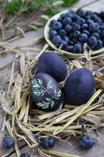 Blueberry Dyed Easter Egg with Herb Silhouette