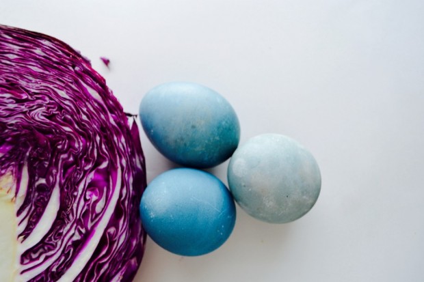 Cabbage Dyed Eggs.