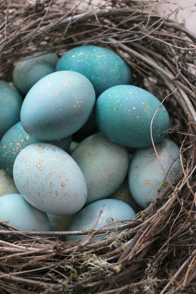 DIY dyed robin eggs (with edible gold fleck) via Honestly Yum