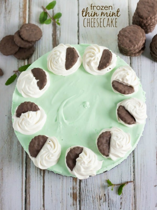 Frozen Thin Mint Cheesecake By Chelsea’s Messy Apron