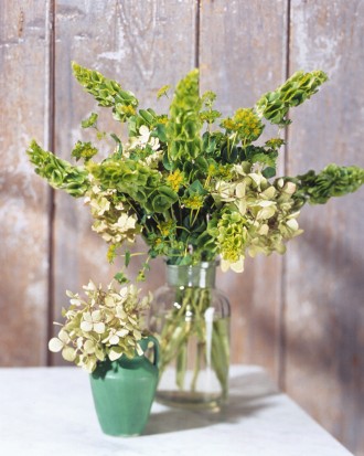 Green Floral Arrangement by Martha Stewart