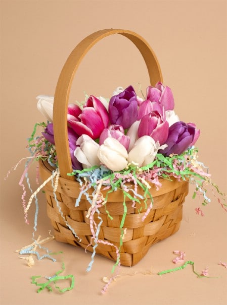 Basket of Tulips.