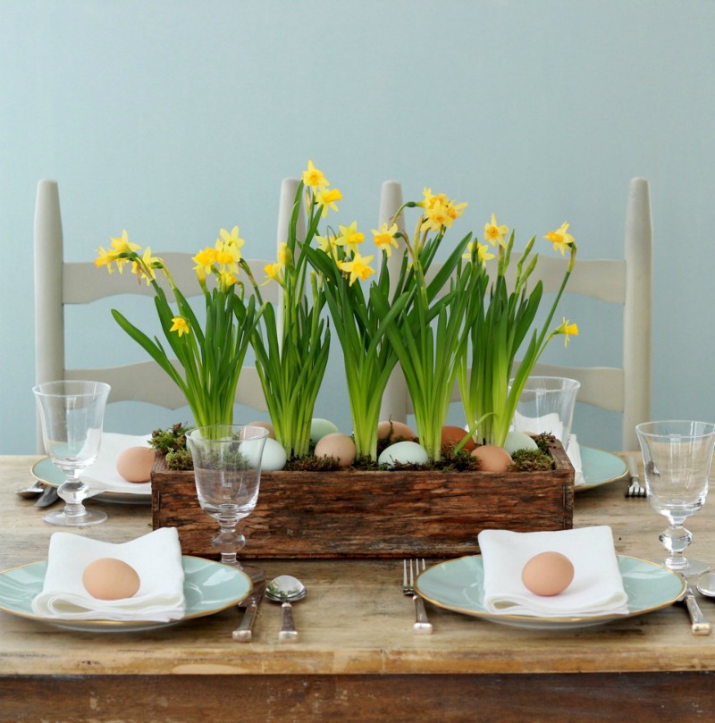 Spring Centerpieces with Blue Eggs and Daffodils.