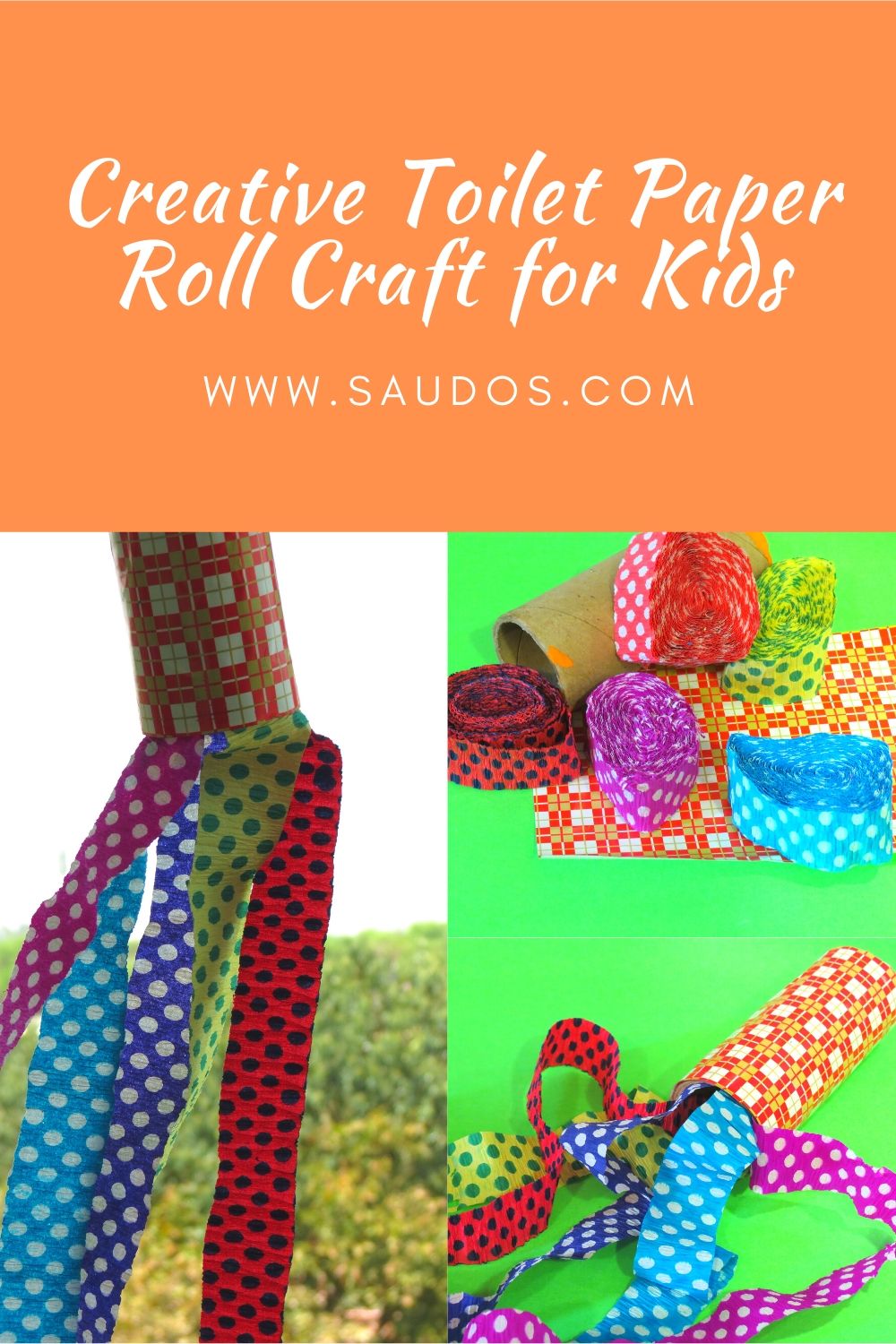 Creative Toilet Paper Roll Craft for Kids