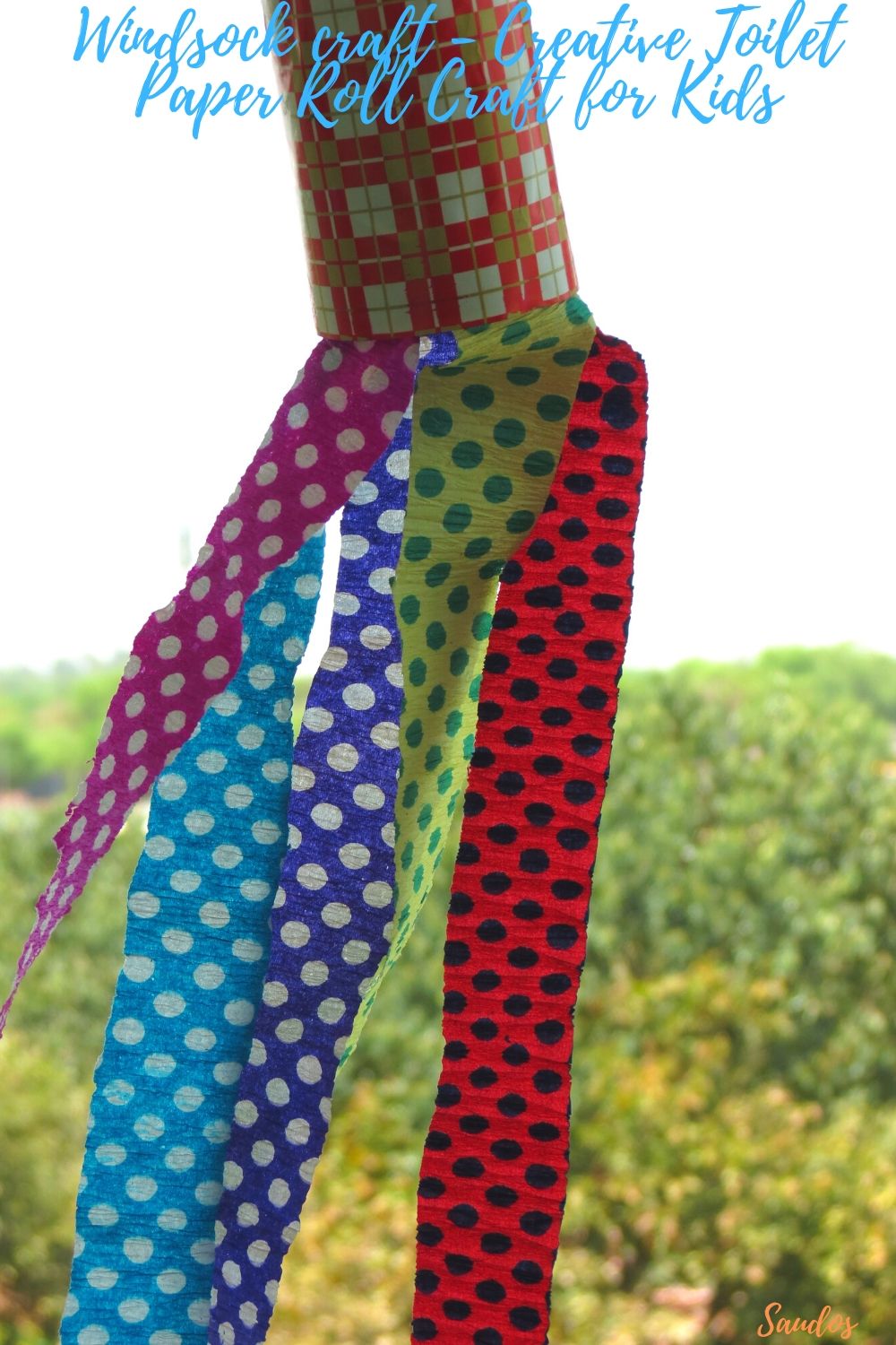 Windsock craft - Creative Toilet Paper Roll Craft for Kids