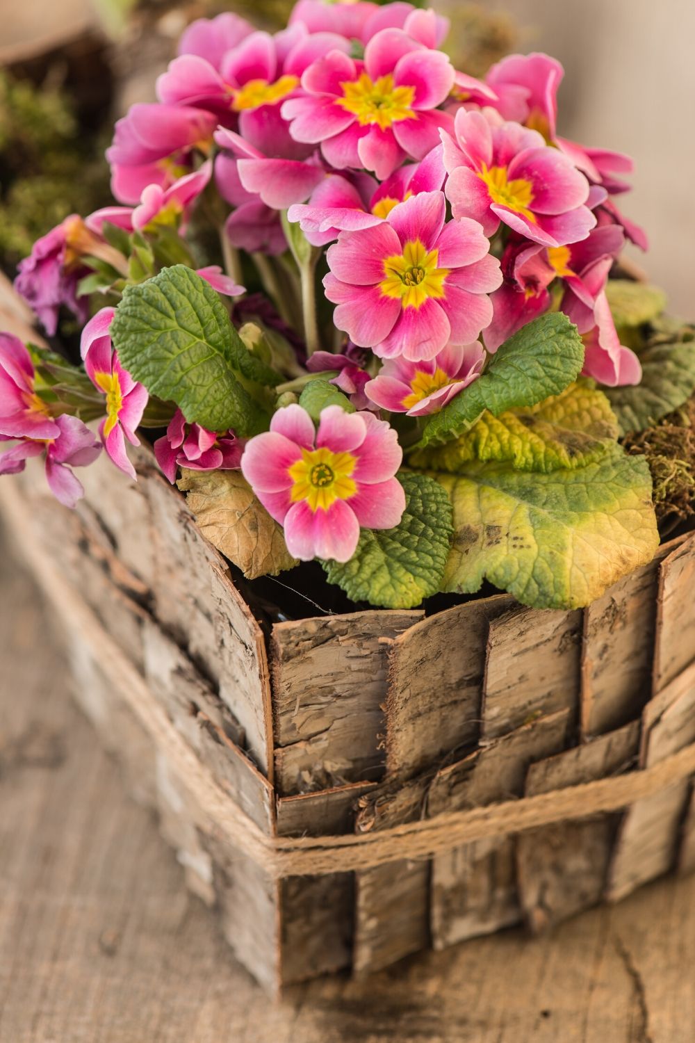 DIY Garden Decoration With Pink Flowers