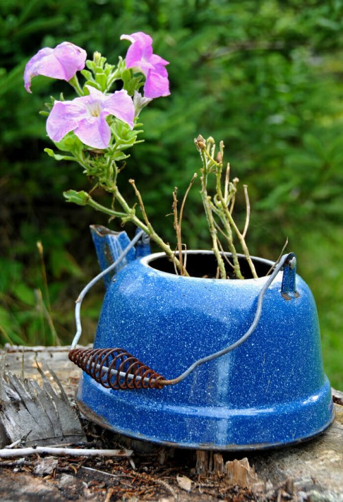 Gorgeous kettle planter