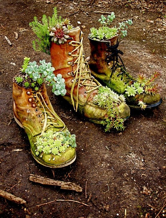 Old Shoes Into a Flower Pot