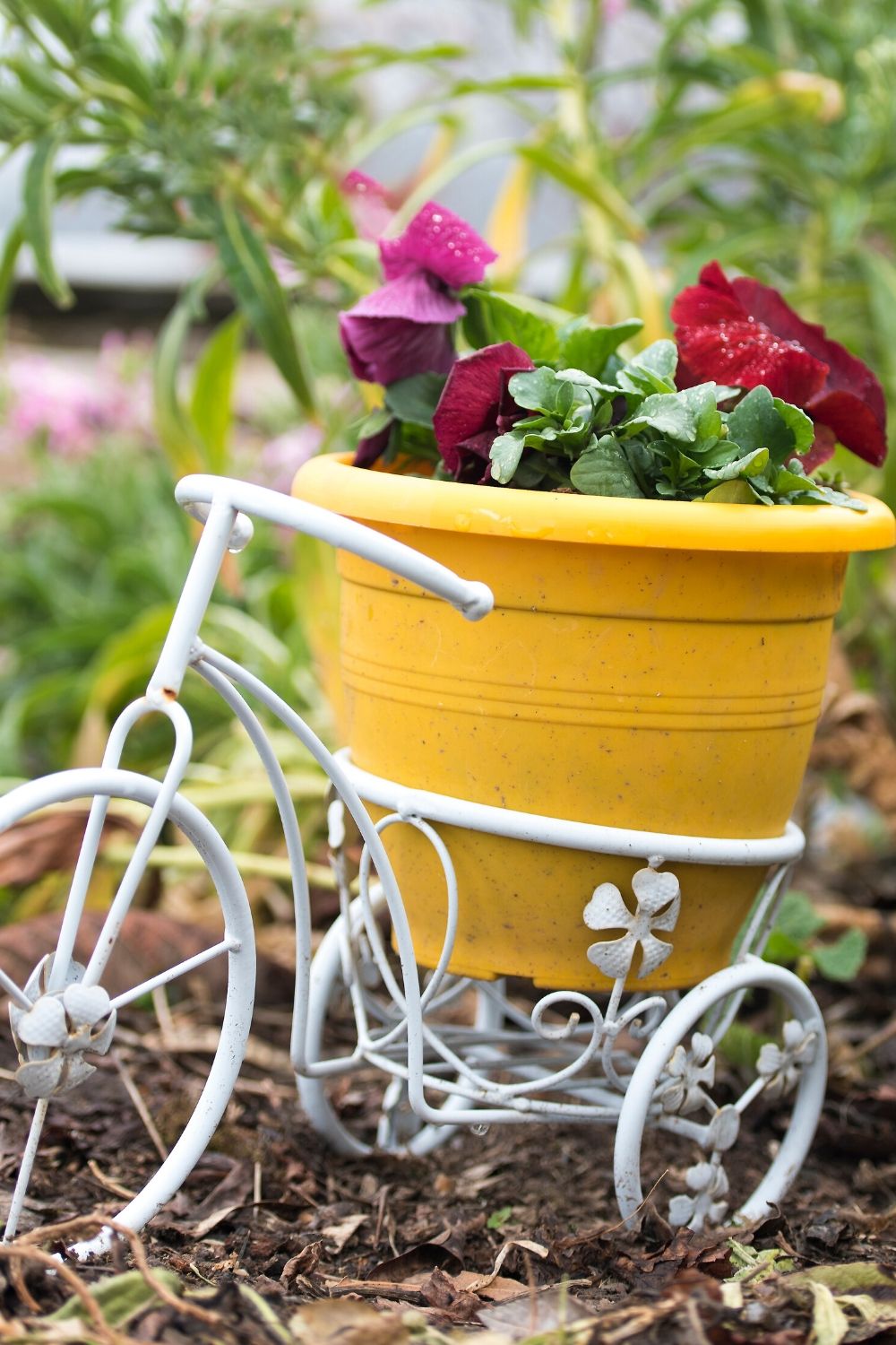 Small white Bicycle with yellow plastic pot and red flowers for garden decoration