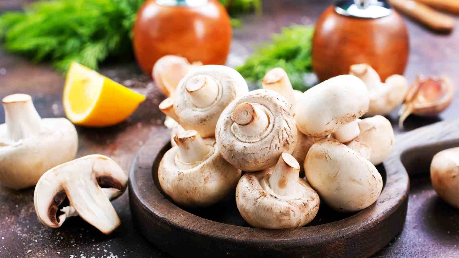 Mushrooms What Health Benefits do They Provide